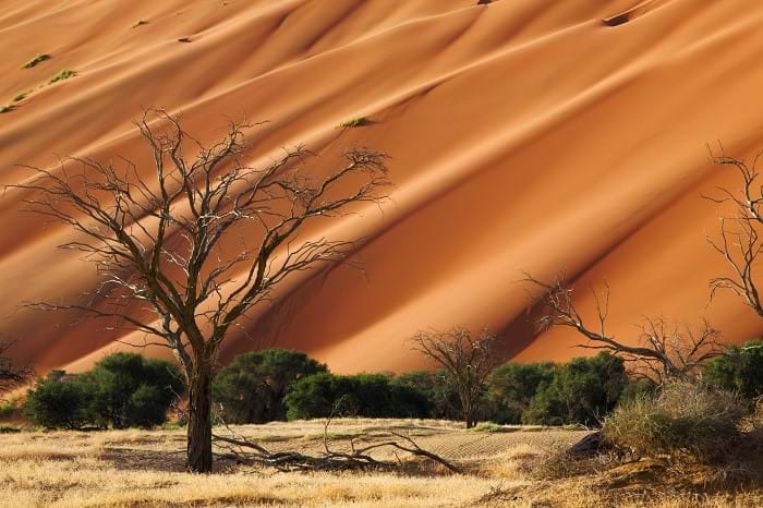 McNally Travel | Visit Namibia