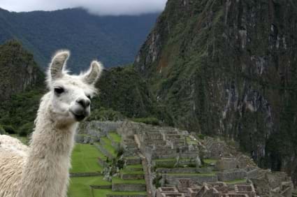 McNally Travel | South America Holidays for Australian Travellers