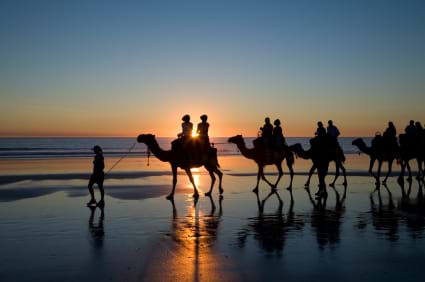 McNally Travel | Australia Holidays | Cable Beach Camels, Broome