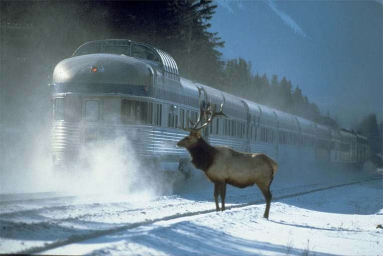 McNally Travel | VIA Rail Snow Train to the Rockies