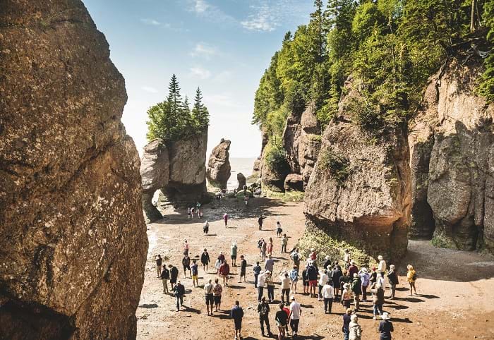 McNally Travel | Hopewell Rocks, New Brunswick, Must see sights and things to do in New Brunswick