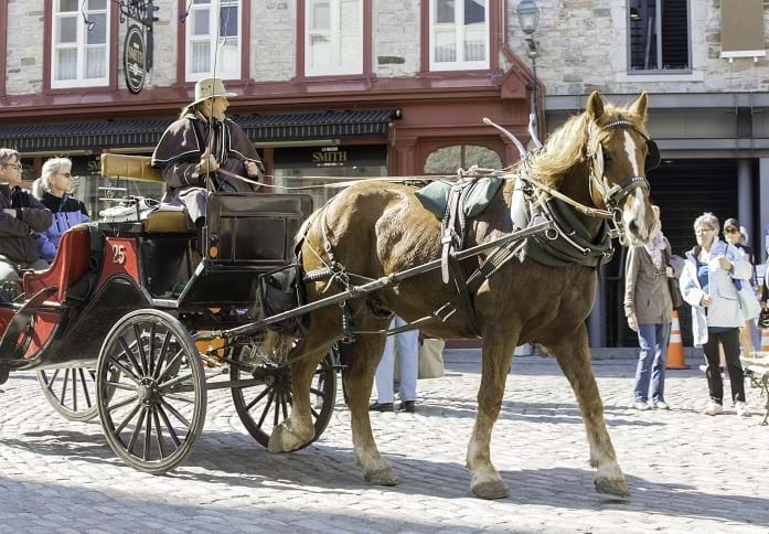McNally Travel | Visit Old Quebec City