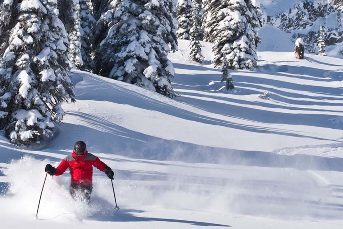 McNally Travel | Skiing in Fernie