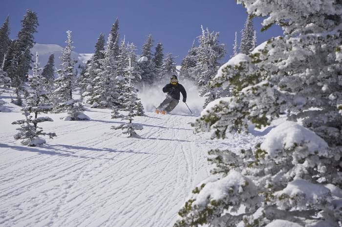 McNally Travel | Skiing the powder triangle, BC | Visit Big White