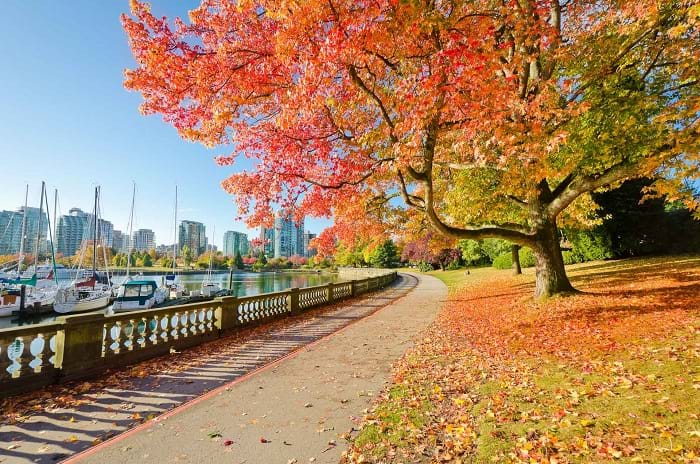 McNally Travel | Visit Stanley Park, Vancouver
