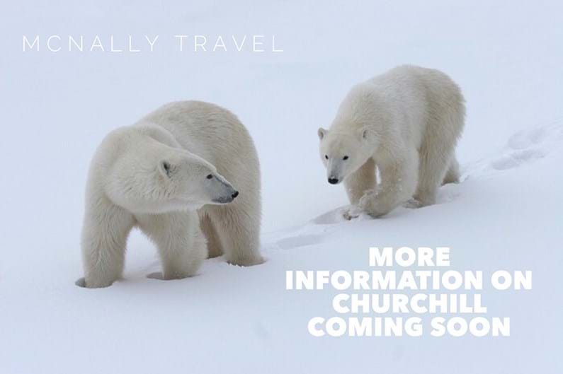McNally Travel | Churchill information coming soon