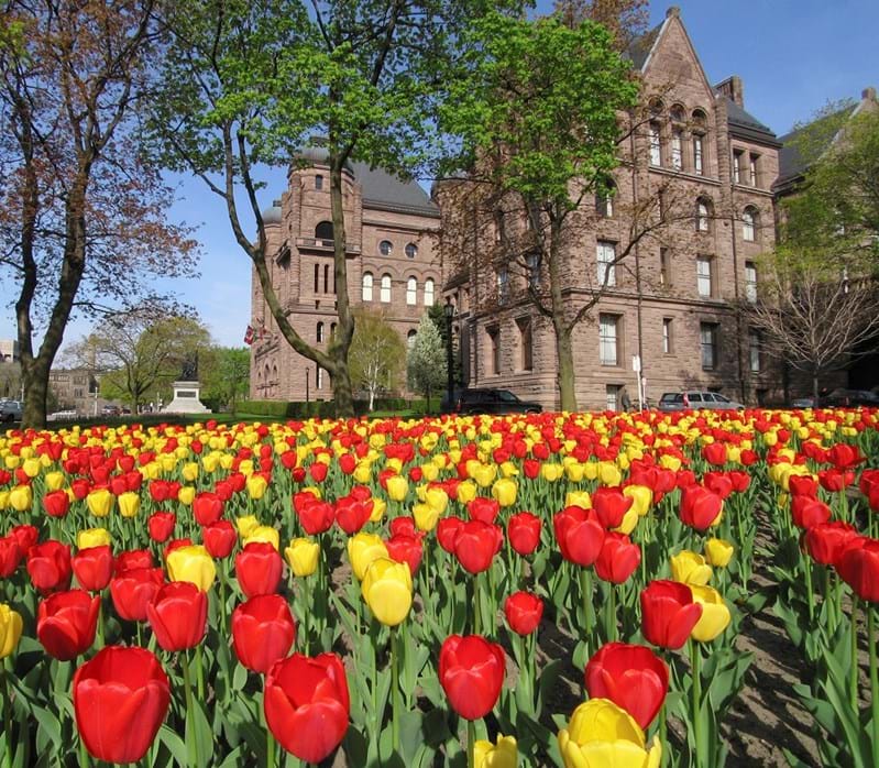 McNally Travel Blog | Springtime in Canada | Ottawa Tulip Festival