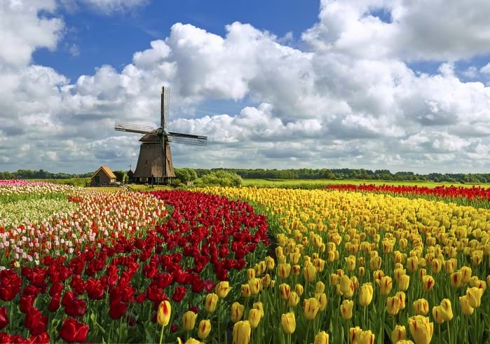 McNally Travel | Visit the Netherlands, Holland