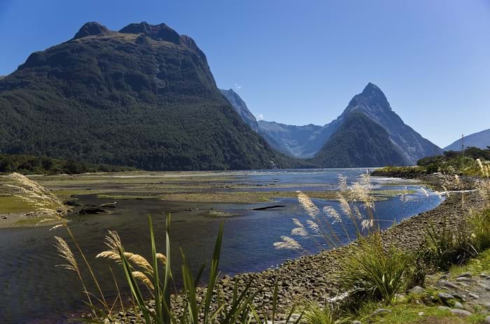 McNally Travel | Visit New Zealand